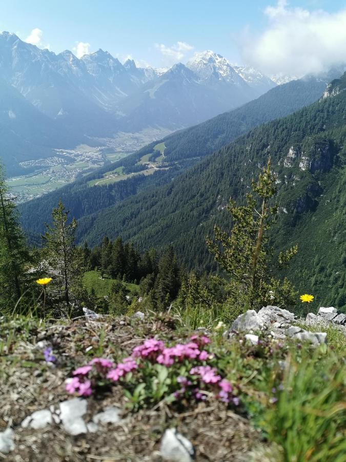 Pension Bergwelt ノイシュティフト・イム・シュトゥーバイタール エクステリア 写真